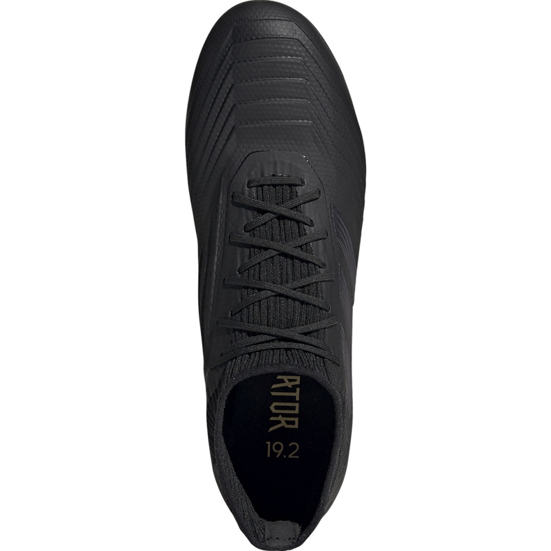 Kopačky adidas Predator 19.2 Fg černé F35603 černý černý 1
