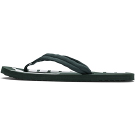 Pánská pantofle Puma Epic Flip V2 360248 27 zelený 2