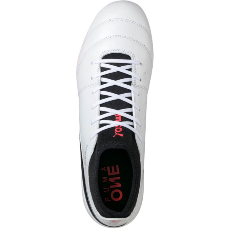 Kopačky Puma One 17.3 Fg 104074 01 černý bílý 2