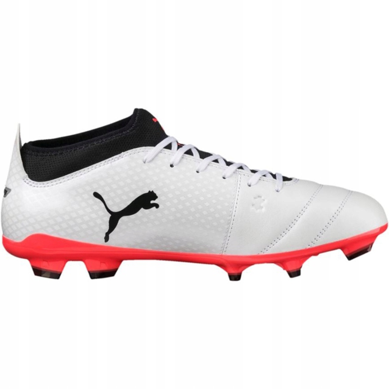 Kopačky Puma One 17.3 Fg 104074 01 černý bílý 1
