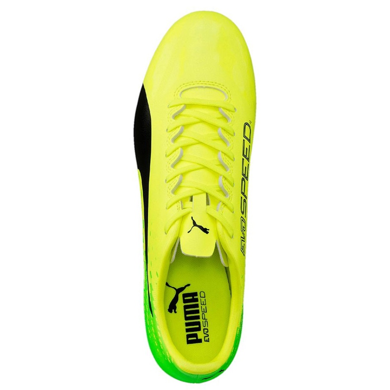 Kopačky Puma Evo Speed ​​17.4 Fg žluto-zelené 104017 01 vícebarevný žluť 2