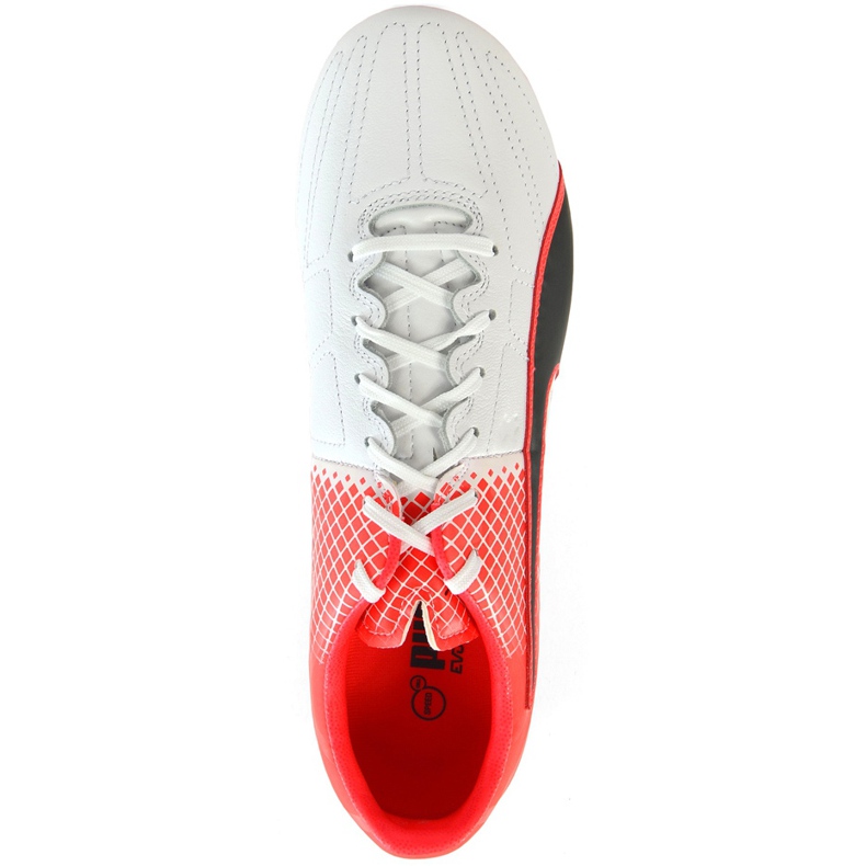 Kopačky Puma Evo Speed ​​3.5 Fg Leather 103794 01 modrá, bílá, černá vícebarevný 1