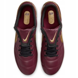 Nike Kopačky Nike Premier Ii Fg M 917803 690 vínové, zlaté červený 1