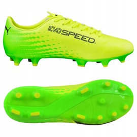 Kopačky Puma Evo Speed ​​17.4 Fg M 104017 01 zelený 2