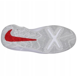 Basketbalové boty Nike Team Hustle D 10 Big Basketball Shoe Jr CW6735 005 červená, bílá, červená, námořnická modrá červený 1