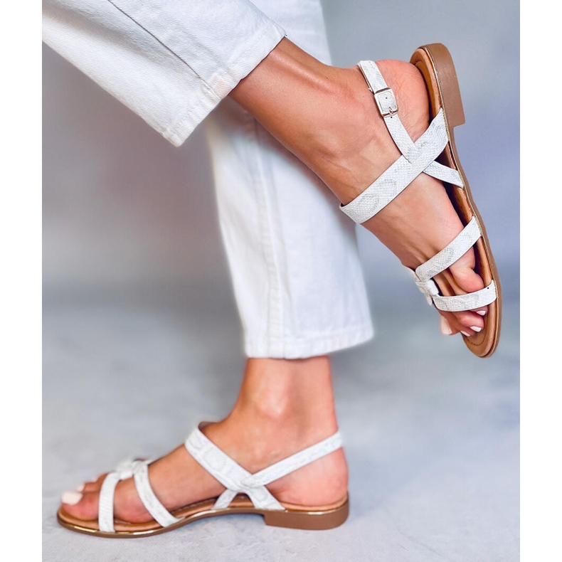 Stříbrné dámské sandály H8-176 Silver stříbrný 2