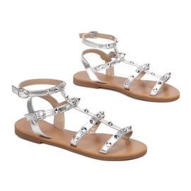 Vices Svěráky 8839-301-52-stříbro 1