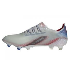 Kopačky Adidas X Ghosted.1 Fg M FW6894 vícebarevný stříbro 1