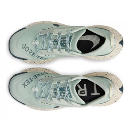 Běžecké boty Nike Pegasus Trail 3 Gtx W DC8794-003 zelená 1
