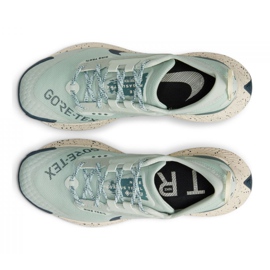 Běžecké boty Nike Pegasus Trail 3 Gtx W DC8794-003 zelený 1