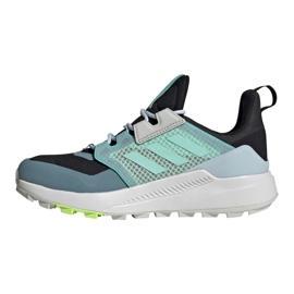Boty Adidas Terrex Trailmaker Gtx W FX4694 modrý 1