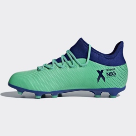 Kopačky Adidas X 17.1 Fg Jr CP8980 vícebarevný modrý 1