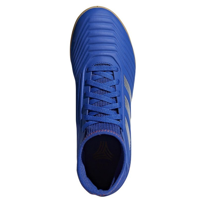 Sálová obuv adidas Predator 19.3 In Jr CM8543 vícebarevný modrý 1