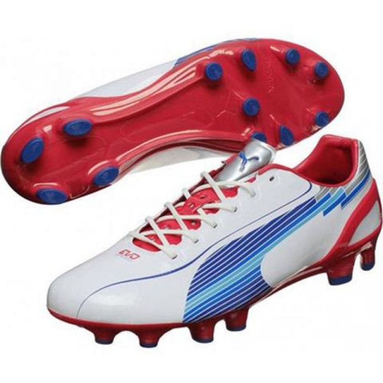 Kopačky Puma Evo Speed ​​1 Fg M 102527 01 bílý bílý 1