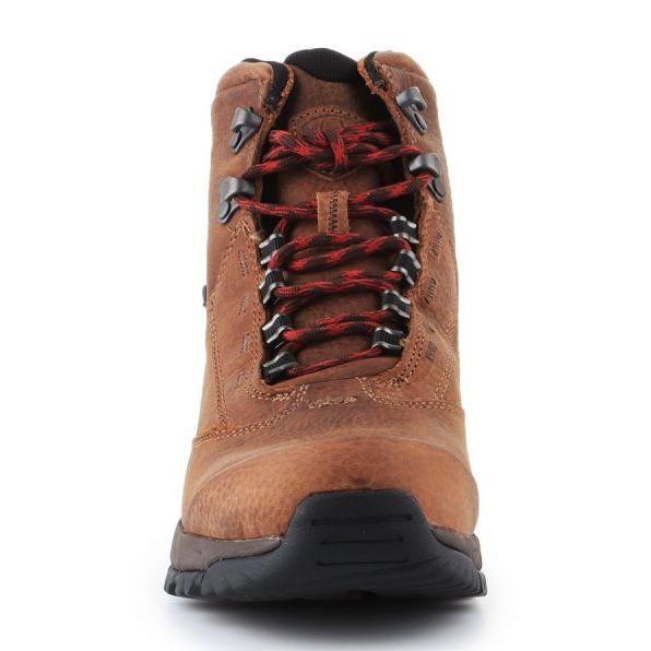 Boty Ariat Berwick Gtx W 10016299 hnědý 2