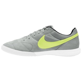 Kopačky Nike Premier 2 Sala Ic M AV3153 012 šedá zelená odstíny šedi 1