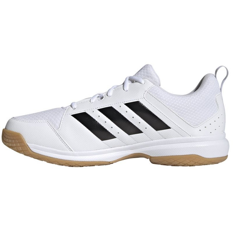 Volejbalové boty Adidas Ligra 7 M GZ0069 bílý bílý 1