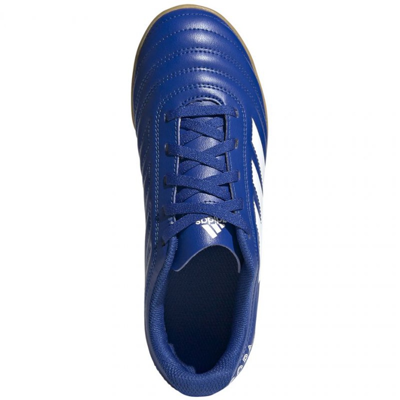 Kopačky Adidas Copa 20.4 In Jr EH0926 vícebarevný modrý 1