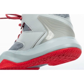 Basketbalová bota Adidas D Rose Boost M B72957 šedá odstíny šedi 6