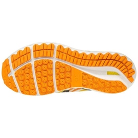 Běžecké boty Mizuno Wave Skyrise Amsterdam M J1GC206209 vícebarevný 1