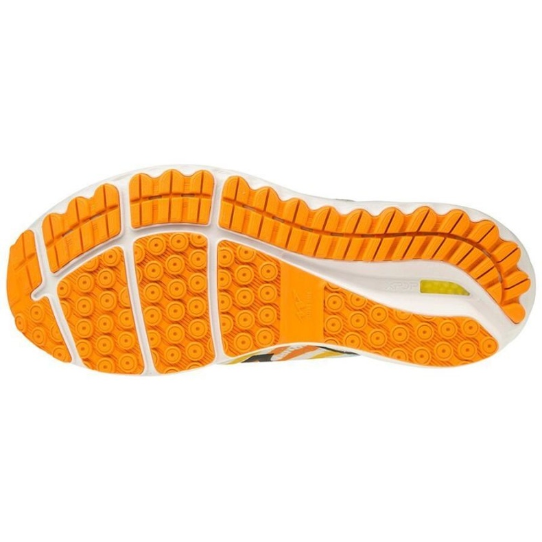 Běžecké boty Mizuno Wave Skyrise Amsterdam M J1GC206209 vícebarevný 1