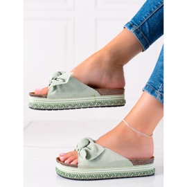 Bestelle Dámské pantofle 20-365 gr zelené zelená 2