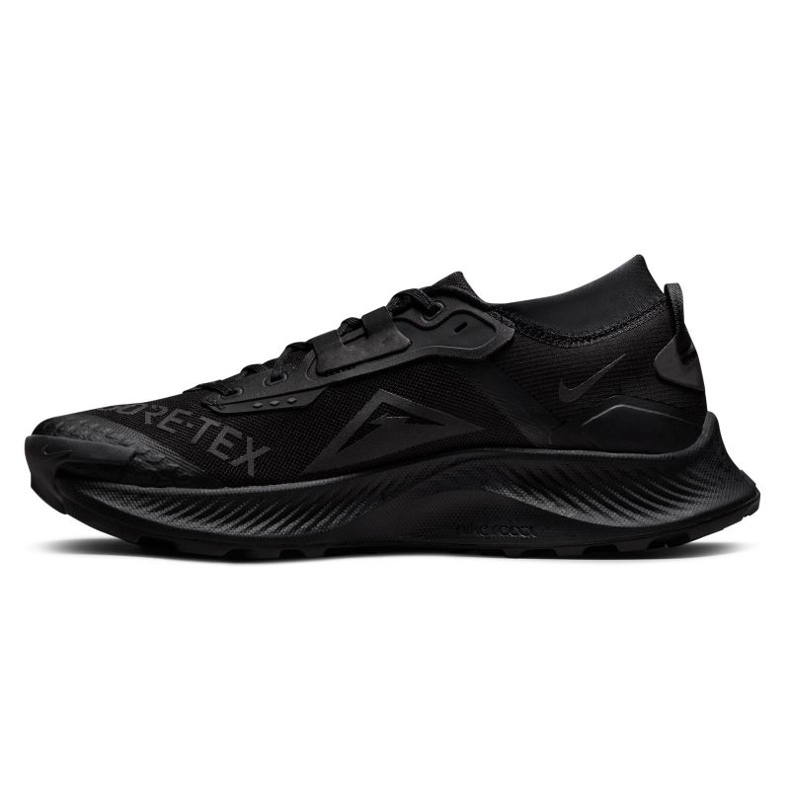 Běžecká obuv Nike Pegasus Trail 3 Gtx M DC8793-001 černý 1