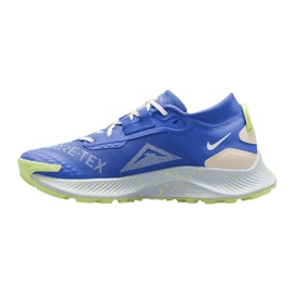 Boty Nike Pegasus Trail 3 GORE-TEX W DC8794-400 modrý 1