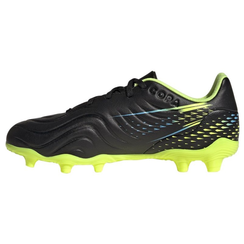 Kopačky Adidas Copa Sense.3 Fg Jr GZ1384 černý černý 1