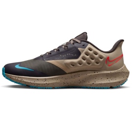 Běžecká bota Nike Air Zoom Pegasus M DO7625 200 vícebarevný šedá 1