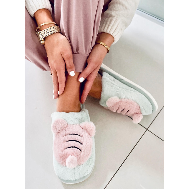 PA1 Dámské pantofle Pearl Mint zelená růžový 1