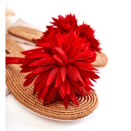 WJ1 Dámské žabky s látkovým zdobením Eviana červená červené 1