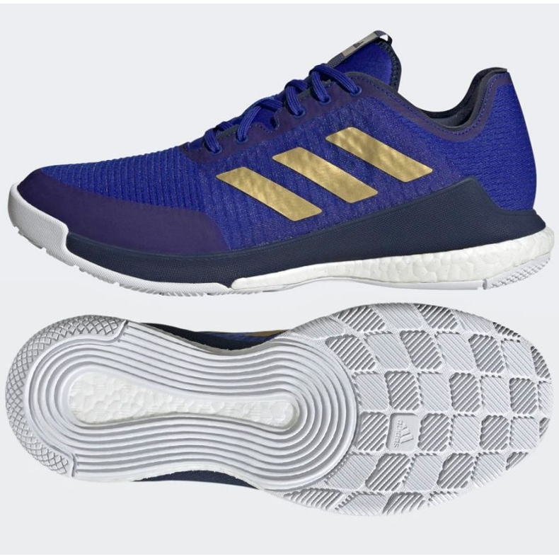 Volejbalové boty adidas CrazyFlight Mid M HQ3488 modrý modrý 1