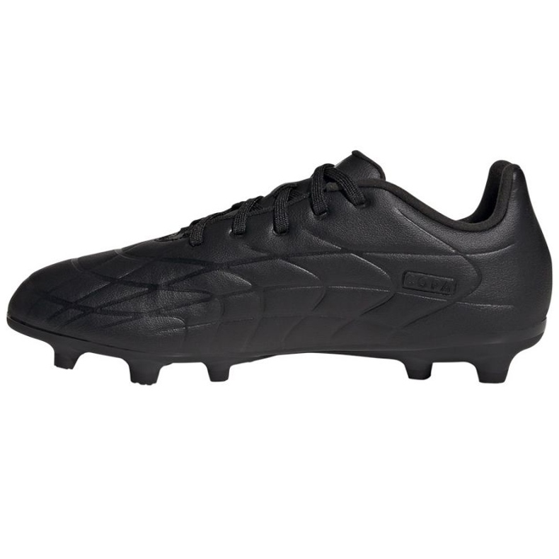 Kopačky adidas Copa Pure.3 Fg HQ8946 černý černý 1