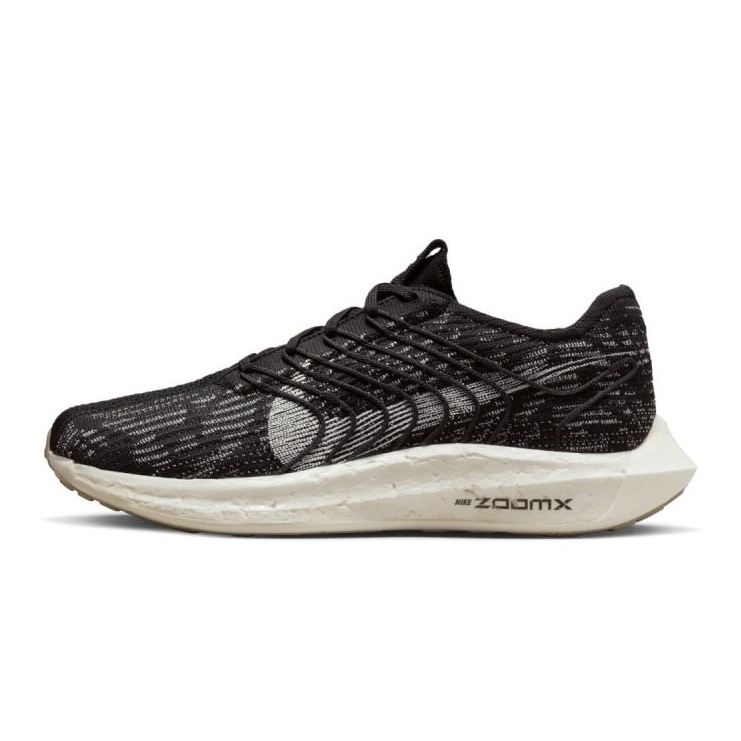 Boty Nike Pegasus Turbo Next Nature M DM3413-001 černý 1